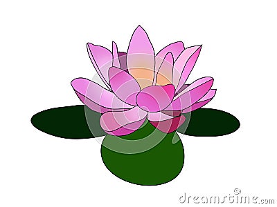 Pink lotus / Lilly flower on three green leaves logo design illustration Cartoon Illustration