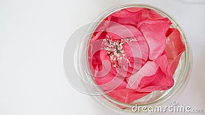 Pink lotus, water lily decorate in glass. Modern style theme for Stock Photo