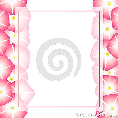 Pink Morning Glory Flower Banner Card Border. Vector Illustration Vector Illustration