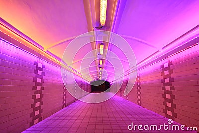 Pink Neon Tunnel Stock Photo