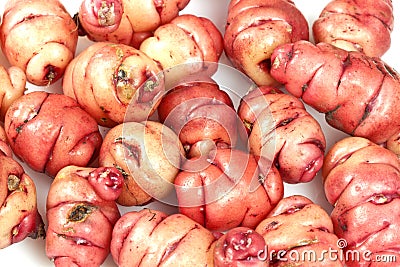 Pink Oca Tubers Stock Photo