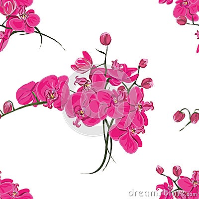Pink orchid seamless vector pattern Vector Illustration