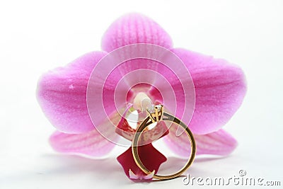 Pink orchid and solitaire engagement ring Stock Photo