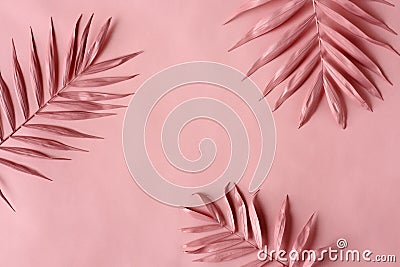 Pink palm leaves Stock Photo