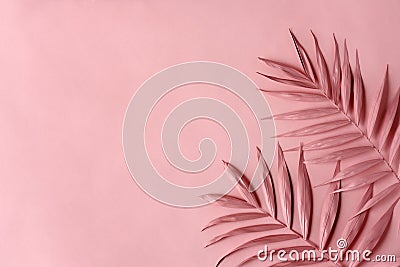 Pink palm leaves Stock Photo