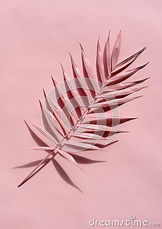 Pink palm twig Stock Photo