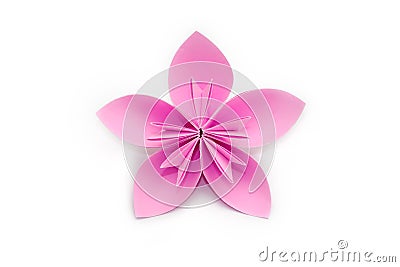 Pink paper origami flower on white background Stock Photo