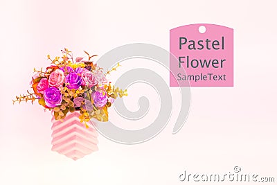 Pink Pastel Flowers Stock Photo