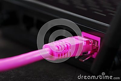 A pink patch cord is inserted into the router`s Wi-Fi port to access the Internet. Internet connection over a wire with a router Stock Photo