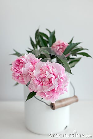 Pink peonies in a canvas Stock Photo