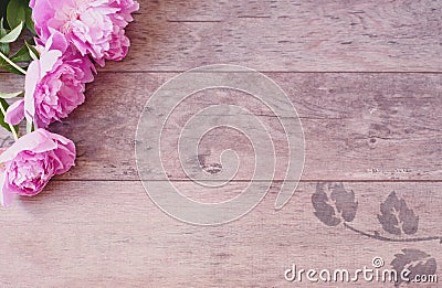 Pink Peonies Flowers on a Wooden Background. Styled Marketing Photography. Styled Stock Photography. Blog Header Image Stock Photo