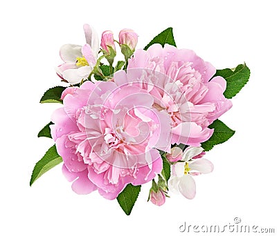 Pink peony and apple flowers and leaves in a floral arrangement isolated Stock Photo