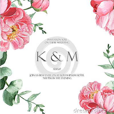 Pink Peony blooming flower botanical watercolor wedding cards floral aquarelle isolated on white background. Design decor invitati Cartoon Illustration