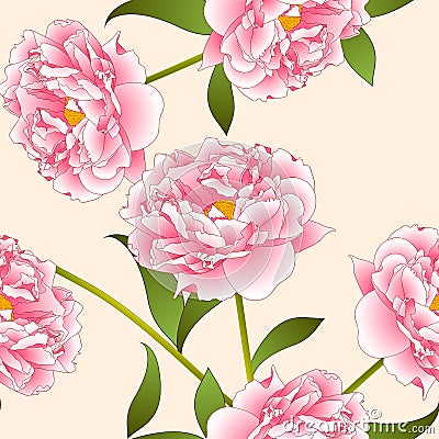 Pink Peony Flower on Beige Ivory Background. Vector Illustration Vector Illustration