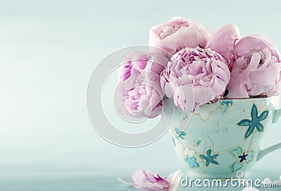 Pink peony flowers Stock Photo