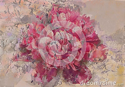 Pink peony fresco Stock Photo