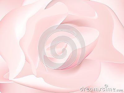 Pink peony macro Vector Illustration