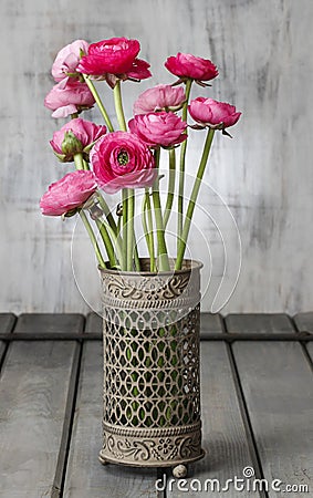 Pink persian buttercup flowers (ranunculus) Stock Photo