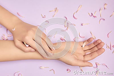 Pink petals of a flower in gentle womans hands on a violet background. Concept of advertisment of beauty salon. Gift certificate. Stock Photo