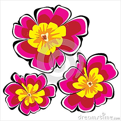 Pink petunia flowers isolated on white Vector Illustration