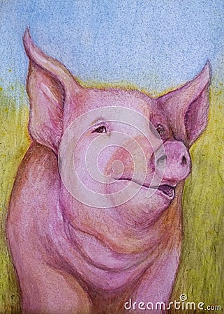 Pink pig color sketch Stock Photo