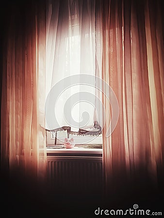 Pink piggy bank on window and golden curtains Stock Photo