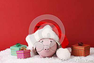 Pink piggy box wiht glasses and santa hat with pompom and three gift boxes with ribbon standing on white snow on red background Stock Photo