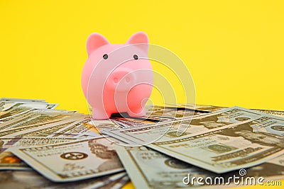 Pink piggy money box in pile of dollar banknotes on yellowbackground, finance Savings, save money for future investments Stock Photo