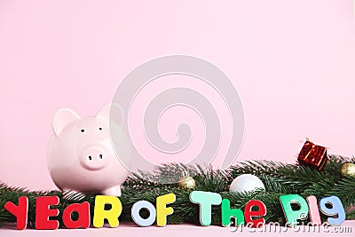 Piggybank with inscription Year of the Pig Stock Photo