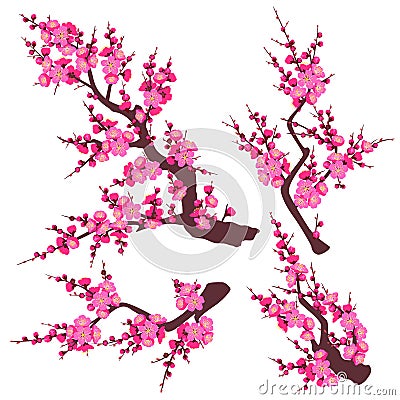 Pink Plum Blossom Branch Set Vector Illustration
