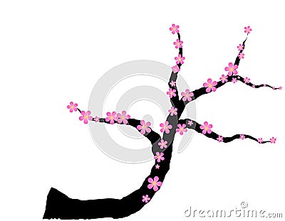 Pink plum blossom Vector Illustration