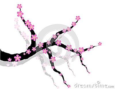 Pink plum blossom Vector Illustration