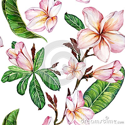 Pink plumeria flower on a twig. Seamless floral pattern. Isolated on white background. Watercolor painting. Cartoon Illustration