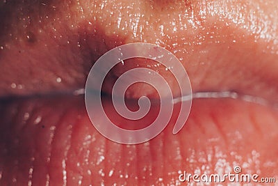 Pink plump natural female lips sparkle close-up. without makeup. facial and lip care Stock Photo
