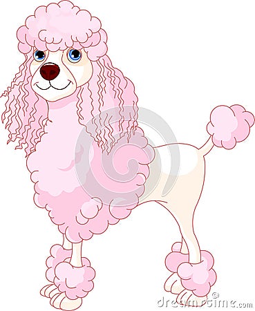 Pink Poodle Vector Illustration