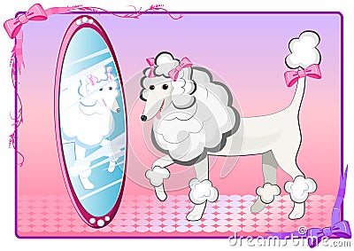Pink poodle with mirror Vector Illustration