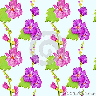 Pink-purple Alcea rosea common hollyhock, mallow flower stem with green leaves and buds, hand painted watercolor illustration Cartoon Illustration