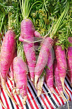 Pink purple carrots organic vegetables Stock Photo
