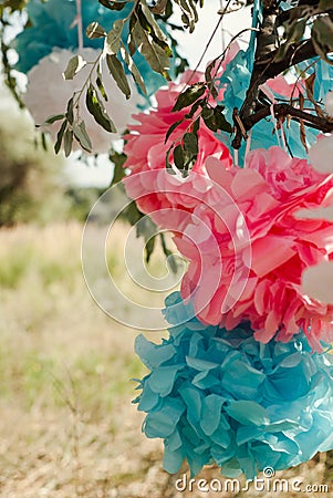 Pink and blue pompoms on birthday party outdoor Stock Photo