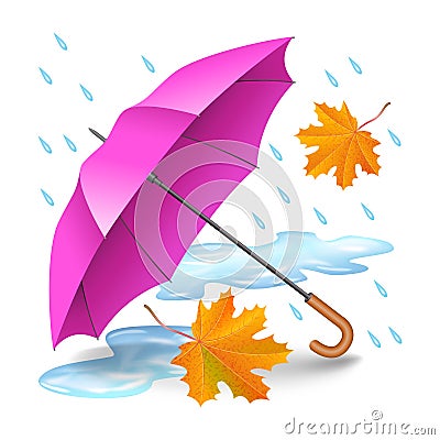Pink or purple realistic umbrella with falling orange leaves Vector Illustration