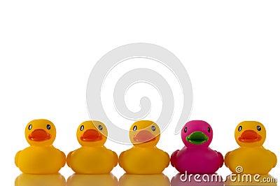 Pink, purple rubber duck with yellow ducks Cartoon Illustration