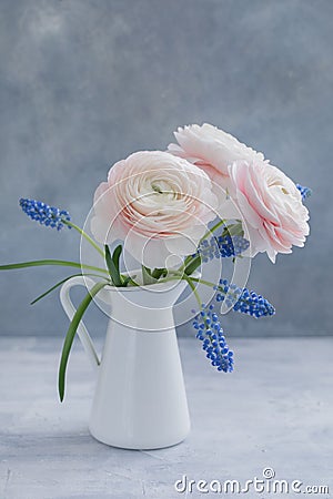 Pink Ranunculus and blue muscari on grey background. Spring postcard concept. Stock Photo