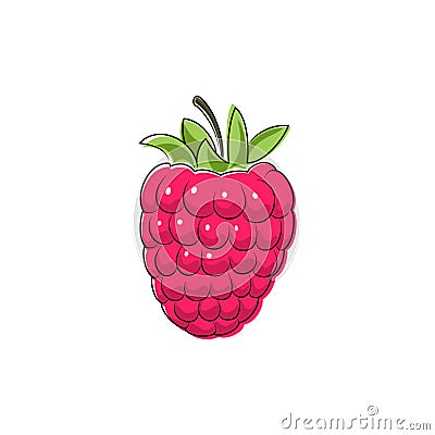 Pink Raspberries Isolated on White Vector Illustration
