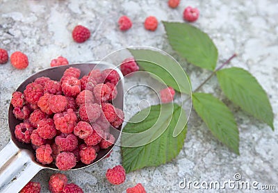 Pink raspberries in the metallic spoon Stock Photo