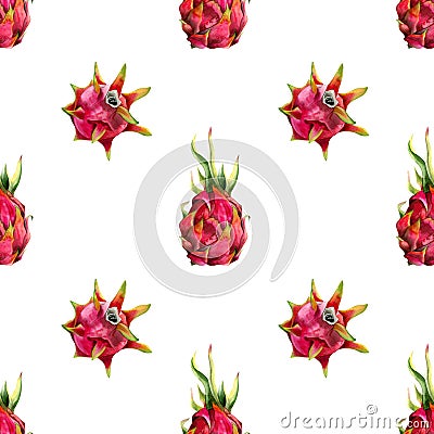 Pink red dragon fruits simple seamless pattern with watercolor pitaya drawings. Minimalist botanical illustration Cartoon Illustration