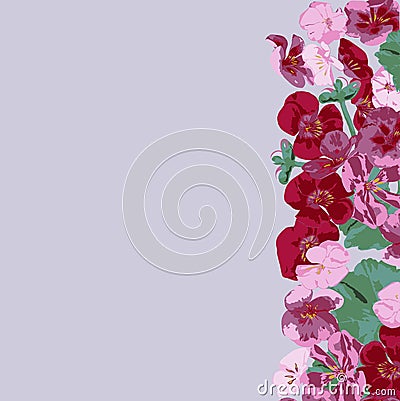 flower, pink, floral, flowers, frame, nature, blossom, white, spring, abstract, rose, border, leaf, plant, card, isolated, beautif Stock Photo