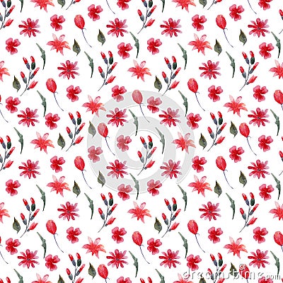 Pink and red watercolor botany flowers seamless pattern on a white background Stock Photo