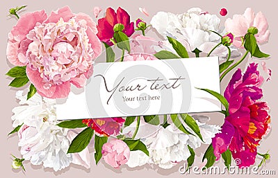 Pink, red and white peony greeting card Vector Illustration