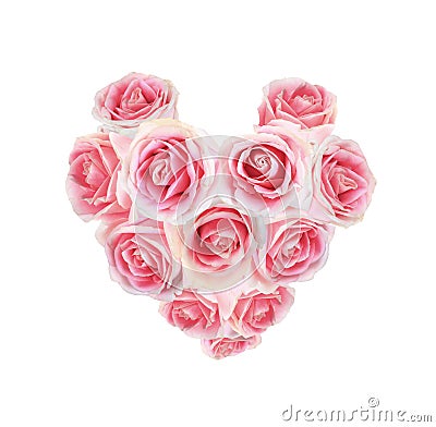 Pink rose arranged in heart shape isolated Stock Photo