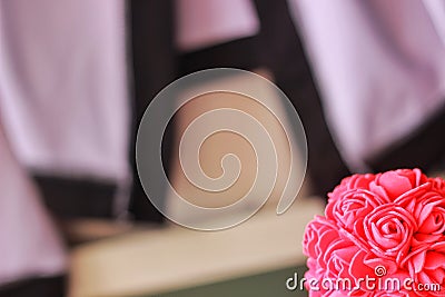 Pink rose background Stock Photo